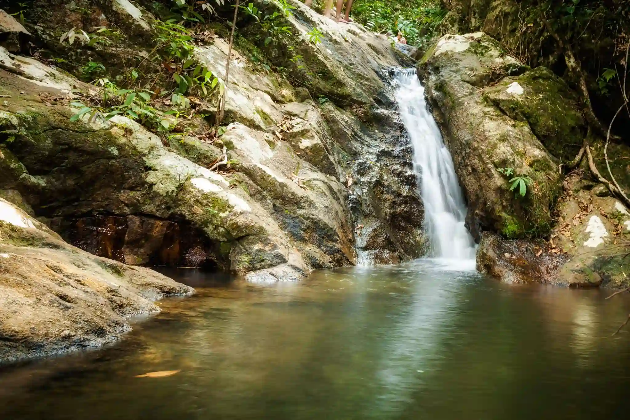koh phang jungle trekking
